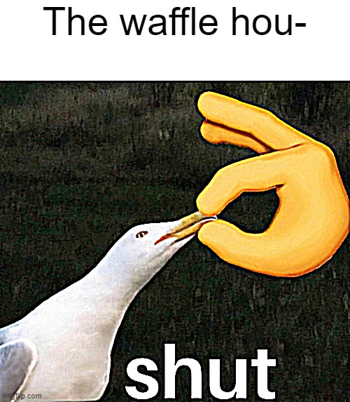 s h u t  u p  a b o u t  t h e  w a f f l e  h o u s e | The waffle hou- | image tagged in bird shut | made w/ Imgflip meme maker