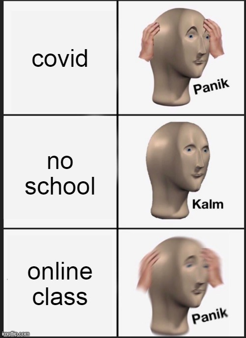 sadness | covid; no school; online class | image tagged in memes,panik kalm panik | made w/ Imgflip meme maker