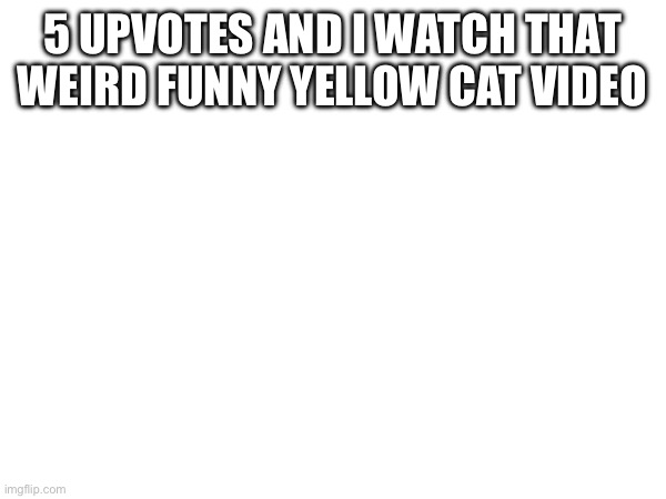 im gonna go to hell for this (Mod note: not if you believe Jesus died for your sins) | 5 UPVOTES AND I WATCH THAT WEIRD FUNNY YELLOW CAT VIDEO | made w/ Imgflip meme maker