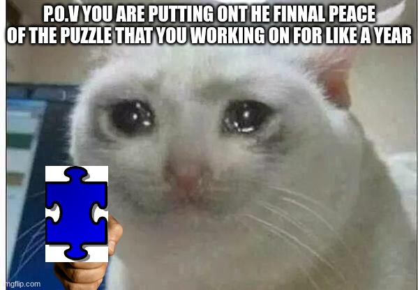crying cat | P.O.V YOU ARE PUTTING ONT HE FINNAL PEACE OF THE PUZZLE THAT YOU WORKING ON FOR LIKE A YEAR | image tagged in crying cat | made w/ Imgflip meme maker