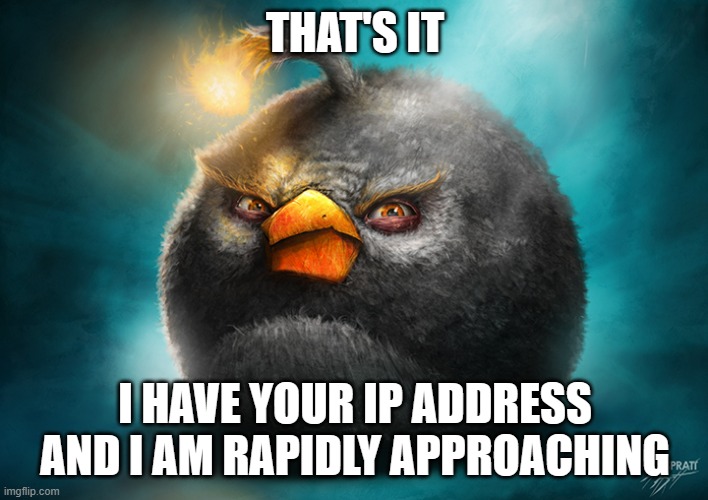 Realistic Bomb Angry Bird | THAT'S IT I HAVE YOUR IP ADDRESS AND I AM RAPIDLY APPROACHING | image tagged in realistic bomb angry bird | made w/ Imgflip meme maker