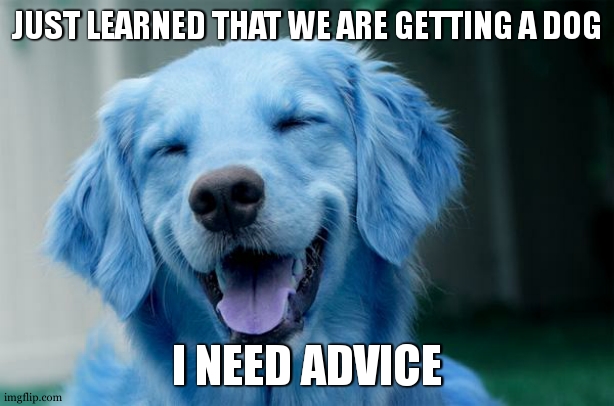 Happy Dog | JUST LEARNED THAT WE ARE GETTING A DOG; I NEED ADVICE | image tagged in happy dog | made w/ Imgflip meme maker