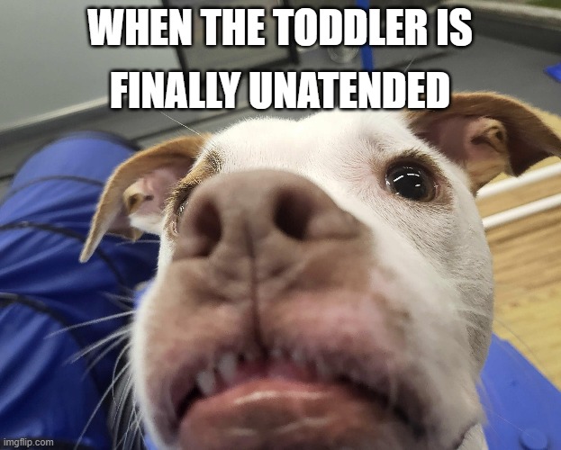 FINALLY UNATENDED; WHEN THE TODDLER IS | made w/ Imgflip meme maker