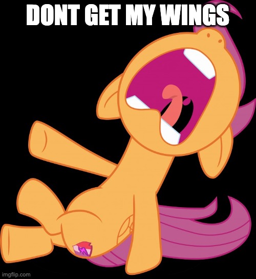 Frightened Scootaloo | DONT GET MY WINGS | image tagged in frightened scootaloo | made w/ Imgflip meme maker
