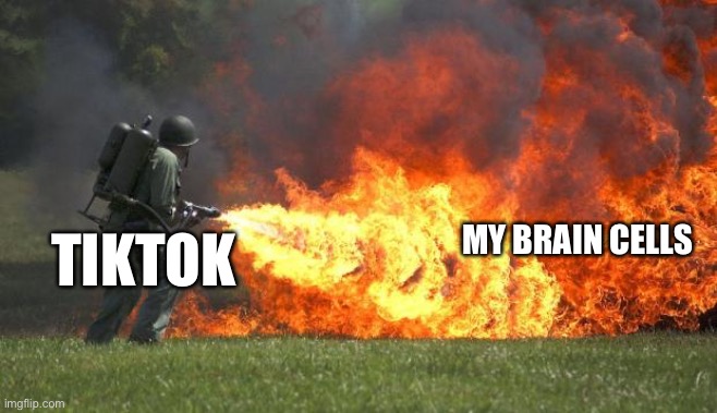 flamethrower | TIKTOK; MY BRAIN CELLS | image tagged in flamethrower | made w/ Imgflip meme maker