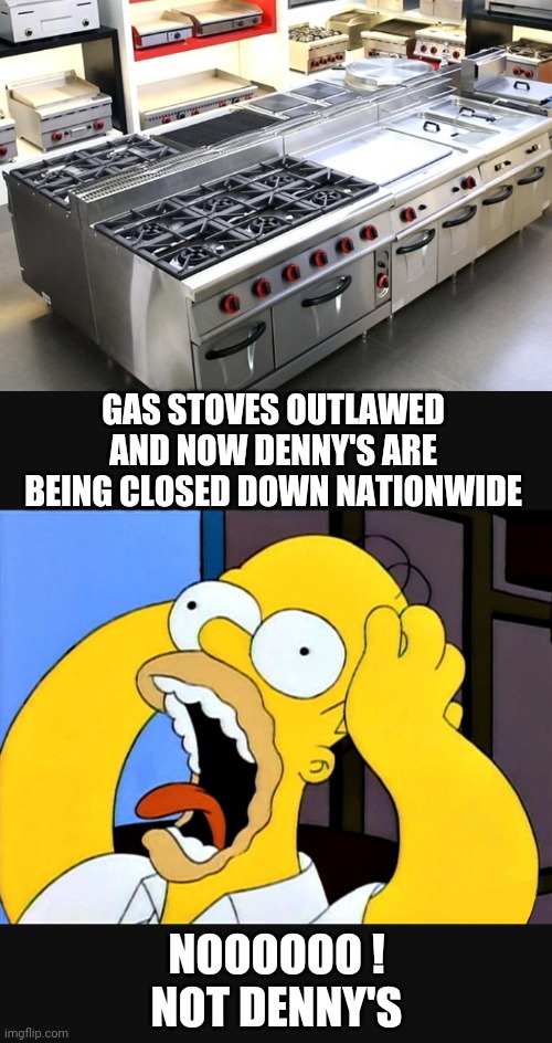 Oh, The Repercussions | GAS STOVES OUTLAWED AND NOW DENNY'S ARE BEING CLOSED DOWN NATIONWIDE; NOOOOOO !
NOT DENNY'S | image tagged in leftists,democrats,liberals,socialists,nwo,stoves | made w/ Imgflip meme maker