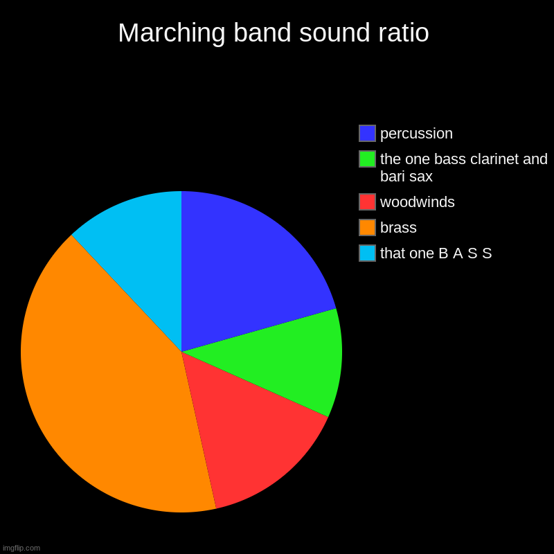 Marching band crap :) | Marching band sound ratio | that one B A S S, brass, woodwinds, the one bass clarinet and bari sax, percussion | image tagged in charts,pie charts | made w/ Imgflip chart maker
