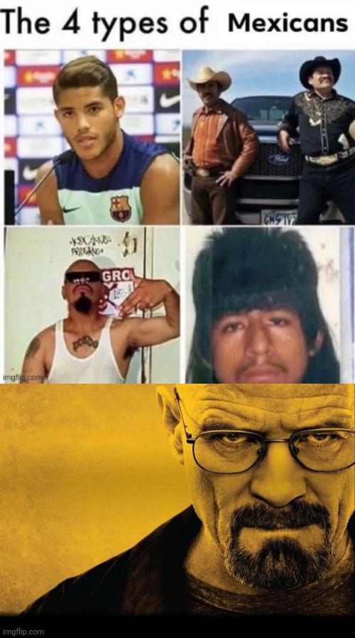 5 types of mexicans | image tagged in breaking bad | made w/ Imgflip meme maker