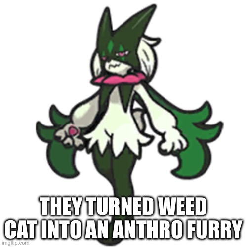 Meowscarada | THEY TURNED WEED CAT INTO AN ANTHRO FURRY | image tagged in meowscarada | made w/ Imgflip meme maker