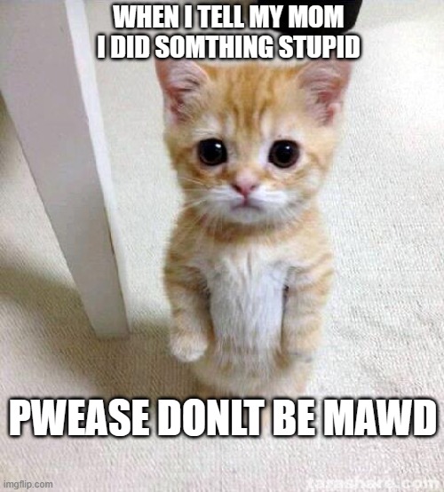my meme | WHEN I TELL MY MOM I DID SOMTHING STUPID; PWEASE DONLT BE MAWD | image tagged in memes | made w/ Imgflip meme maker