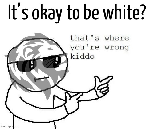 If elected HOC I’ll move to repeal this bill but we’ll replace it with something even better. | It’s okay to be white? | image tagged in its,more,than,okay,to be,white | made w/ Imgflip meme maker