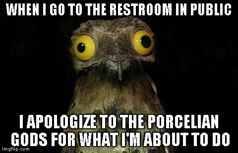 Weird Stuff I Do Potoo Meme | WHEN I GO TO THE RESTROOM IN PUBLIC I APOLOGIZE TO THE PORCELIAN GODS FOR WHAT I'M ABOUT TO DO | image tagged in memes,weird stuff i do potoo | made w/ Imgflip meme maker