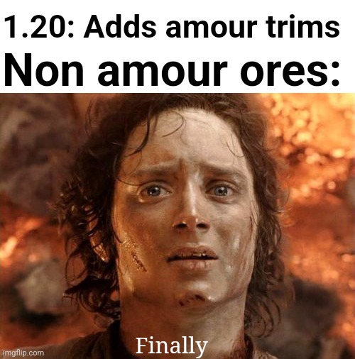 They are beautiful somehow | 1.20: Adds amour trims; Non amour ores:; Finally | image tagged in memes,imgflip,minecraft,fun | made w/ Imgflip meme maker