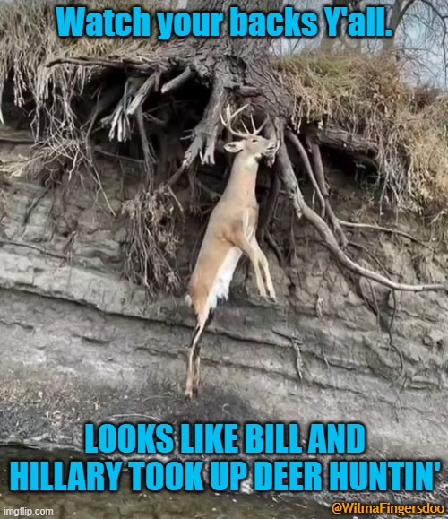 Watch your backs Y'all. LOOKS LIKE BILL AND HILLARY TOOK UP DEER HUNTIN'; @WilmaFingersdoo | image tagged in clintons,bill,hillary | made w/ Imgflip meme maker