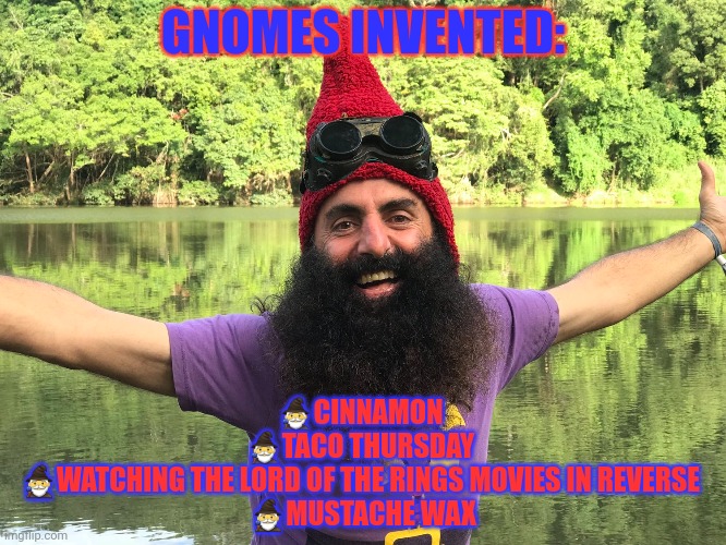 Respect glorious gnome culture | GNOMES INVENTED:; 🧙‍♂️CINNAMON 
🧙‍♂️TACO THURSDAY 
🧙‍♂️WATCHING THE LORD OF THE RINGS MOVIES IN REVERSE 
🧙‍♂️MUSTACHE WAX | image tagged in respect,gnome,rights | made w/ Imgflip meme maker
