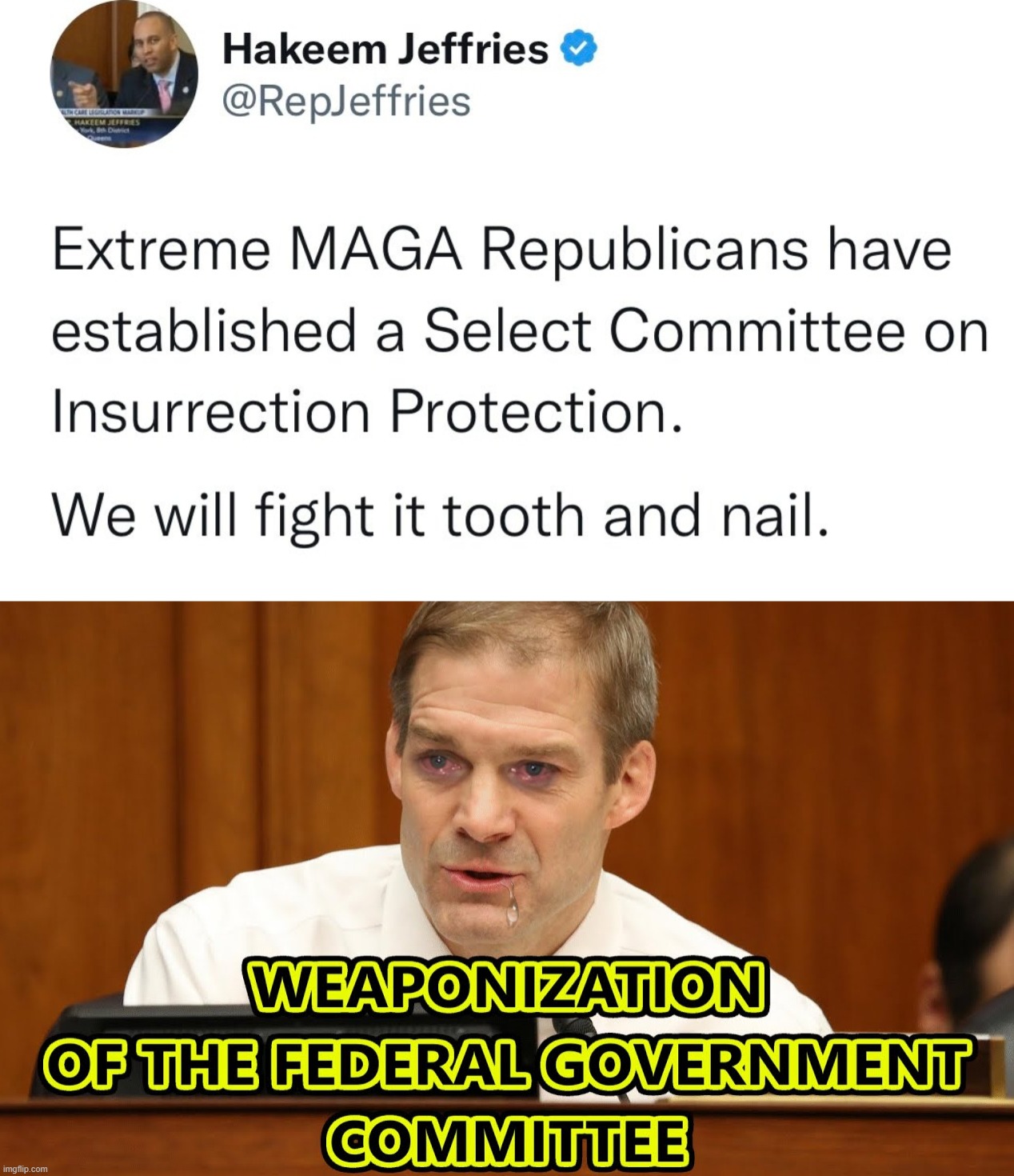 insurrection protection... | image tagged in gym,jordan,scumbag republicans,conservative hypocrisy,fraud,committee | made w/ Imgflip meme maker