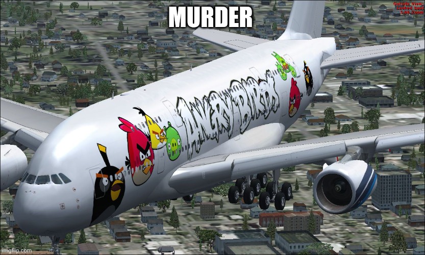 Angry Birds a380 | MURDER | image tagged in angry birds a380 | made w/ Imgflip meme maker