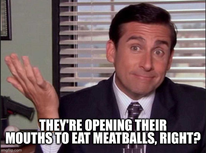 Michael Scott | THEY'RE OPENING THEIR MOUTHS TO EAT MEATBALLS, RIGHT? | image tagged in michael scott | made w/ Imgflip meme maker