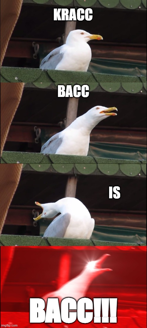 I've come to make an announcement that KRACC IS BACC! (he came bacc 2 days ago) | KRACC; BACC; IS; BACC!!! | image tagged in memes,inhaling seagull,kracc bacc,youtube,youtuber | made w/ Imgflip meme maker