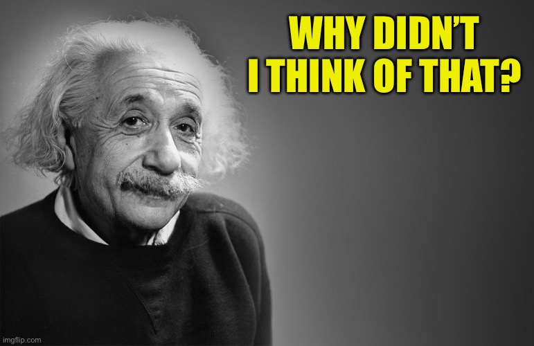 albert einstein quotes | WHY DIDN’T I THINK OF THAT? | image tagged in albert einstein quotes | made w/ Imgflip meme maker