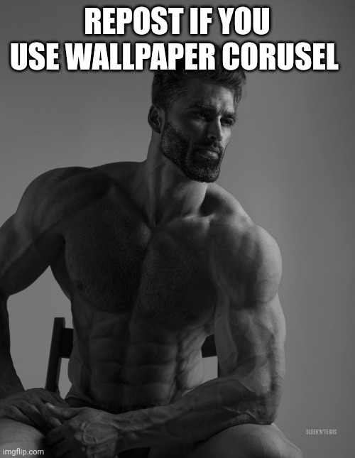 Giga Chad | REPOST IF YOU USE WALLPAPER CAROUSEL | image tagged in giga chad | made w/ Imgflip meme maker