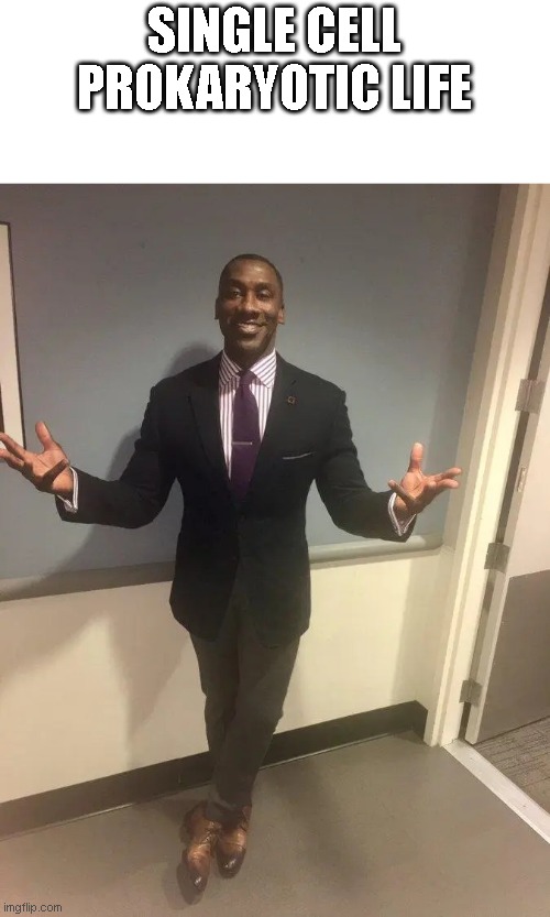 shannon sharpe | SINGLE CELL PROKARYOTIC LIFE | image tagged in shannon sharpe | made w/ Imgflip meme maker