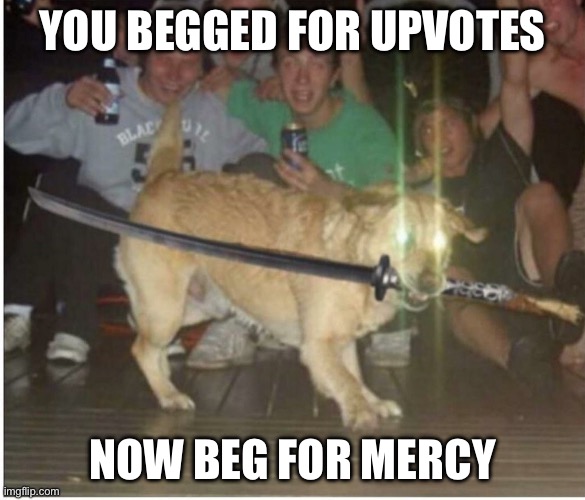 YOU BEGGED FOR UPVOTES NOW BEG FOR MERCY | image tagged in dog anime | made w/ Imgflip meme maker