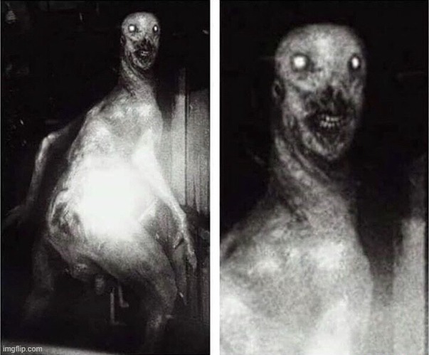 image tagged in horror | made w/ Imgflip meme maker