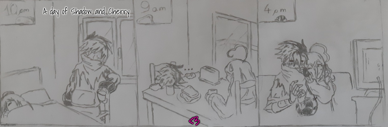 Only Bonnie know why Shadow never(rarely) sleep | A day of Shadow and Cherry; <3 | image tagged in a day of shadow and cherry | made w/ Imgflip meme maker