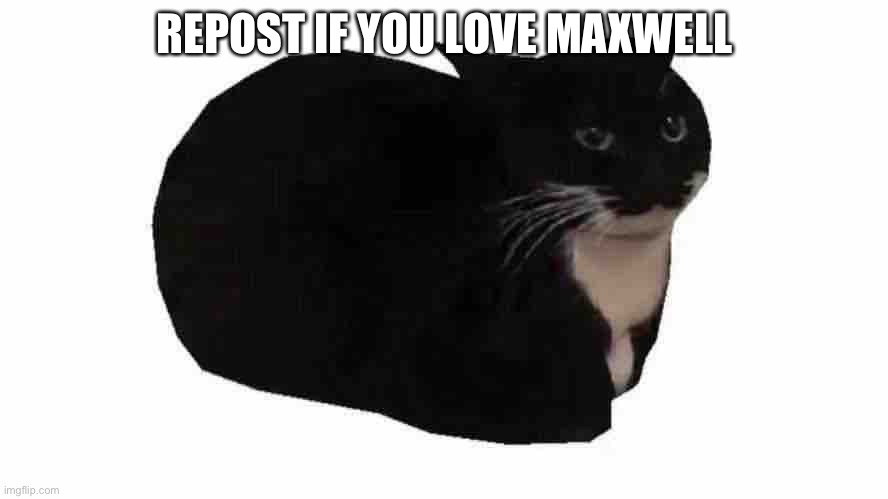 Maxwell | REPOST IF YOU LOVE MAXWELL | image tagged in maxwell | made w/ Imgflip meme maker