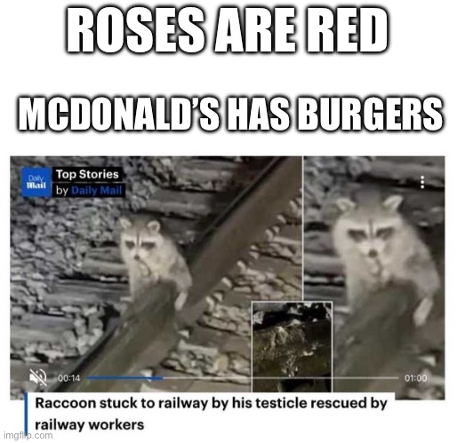 ROSES ARE RED; MCDONALD’S HAS BURGERS | made w/ Imgflip meme maker