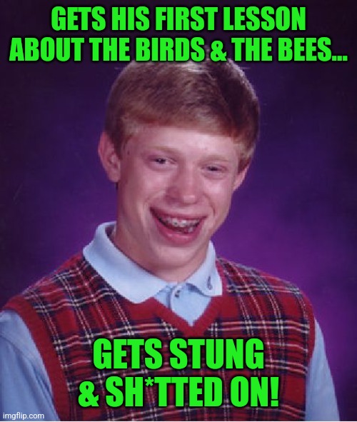 Bad Luck Brian | GETS HIS FIRST LESSON ABOUT THE BIRDS & THE BEES... GETS STUNG & SH*TTED ON! | image tagged in memes,bad luck brian | made w/ Imgflip meme maker