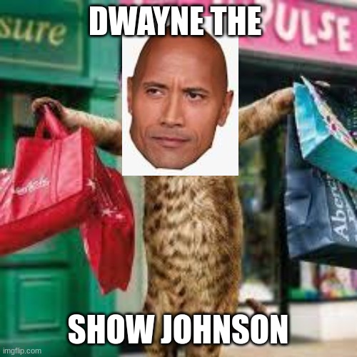 Cat shopping | DWAYNE THE SHOW JOHNSON | image tagged in cat shopping | made w/ Imgflip meme maker