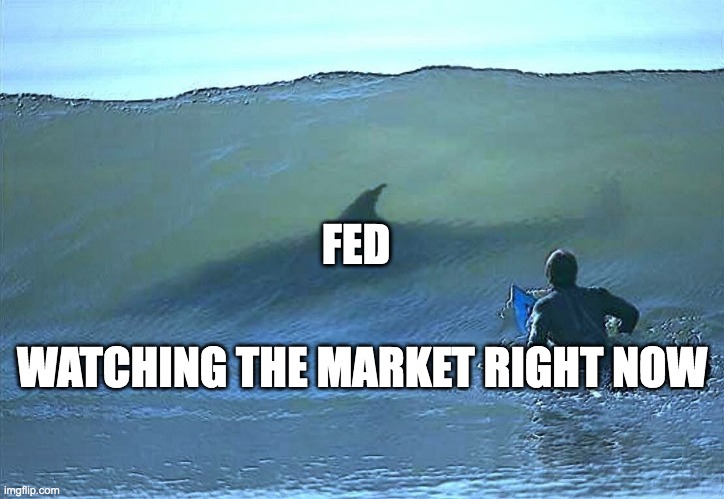 Shark surfer | FED; WATCHING THE MARKET RIGHT NOW | image tagged in shark surfer | made w/ Imgflip meme maker
