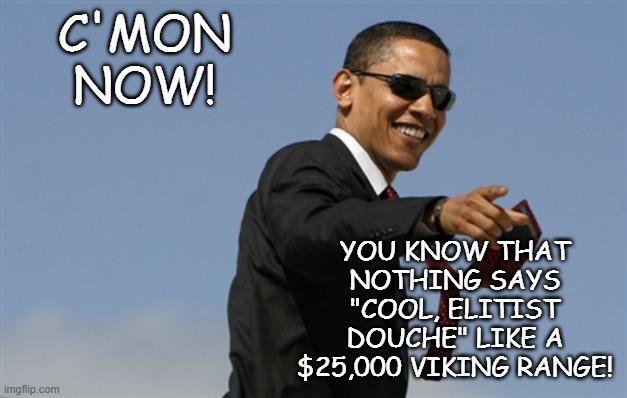 Cool Obama Meme | C'MON NOW! YOU KNOW THAT NOTHING SAYS "COOL, ELITIST DOUCHE" LIKE A $25,000 VIKING RANGE! | image tagged in memes,cool obama | made w/ Imgflip meme maker