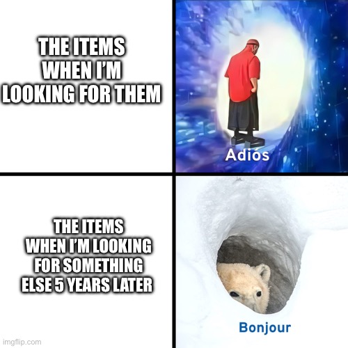 Adios Bonjour | THE ITEMS WHEN I’M LOOKING FOR THEM; THE ITEMS WHEN I’M LOOKING FOR SOMETHING ELSE 5 YEARS LATER | image tagged in adios bonjour | made w/ Imgflip meme maker
