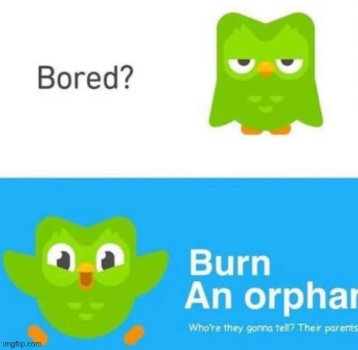 who’re they gonna tell? their parents? | image tagged in duolingo,duolingo bird,sacrifice | made w/ Imgflip meme maker