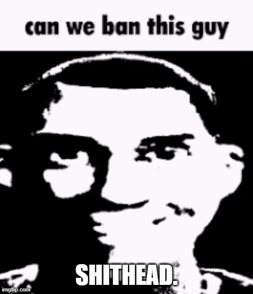 Can we ban this guy | SHITHEAD. | image tagged in can we ban this guy | made w/ Imgflip meme maker