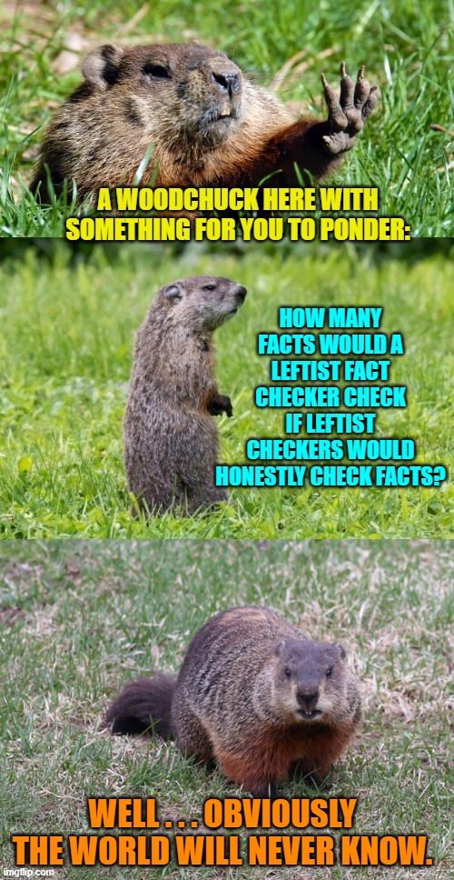 Heavy duty philosophy here. | HOW MANY FACTS WOULD A LEFTIST FACT CHECKER CHECK IF LEFTIST CHECKERS WOULD HONESTLY CHECK FACTS? A WOODCHUCK HERE WITH SOMETHING FOR YOU TO PONDER:; WELL . . . OBVIOUSLY THE WORLD WILL NEVER KNOW. | image tagged in facts | made w/ Imgflip meme maker
