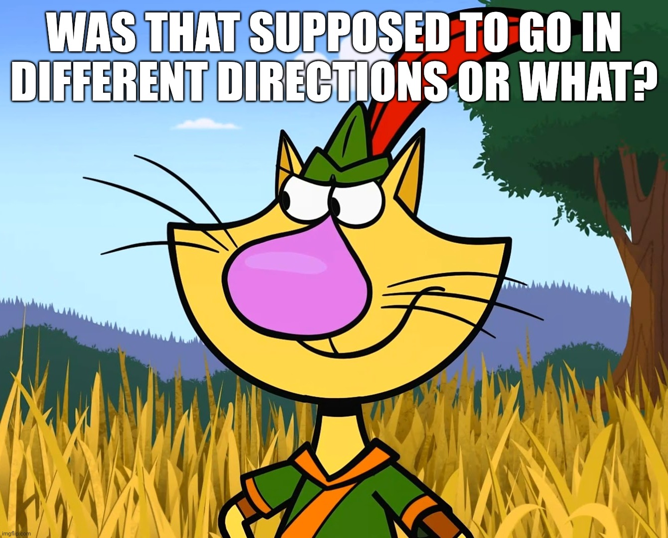 WAS THAT SUPPOSED TO GO IN DIFFERENT DIRECTIONS OR WHAT? | made w/ Imgflip meme maker
