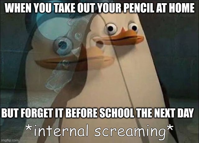 Private Internal Screaming | WHEN YOU TAKE OUT YOUR PENCIL AT HOME; BUT FORGET IT BEFORE SCHOOL THE NEXT DAY | image tagged in private internal screaming | made w/ Imgflip meme maker