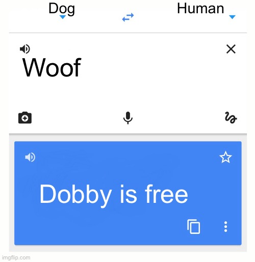 I Watch too much Harry Potter LOL | Dog; Human; Woof; Dobby is free | image tagged in google translate,dobby,dobby is free,harry potter | made w/ Imgflip meme maker