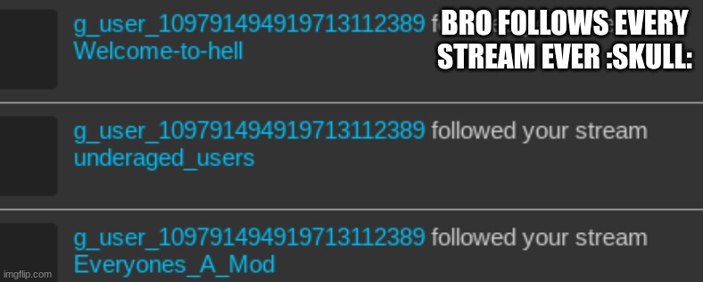 BRO FOLLOWS EVERY STREAM EVER :SKULL: | made w/ Imgflip meme maker