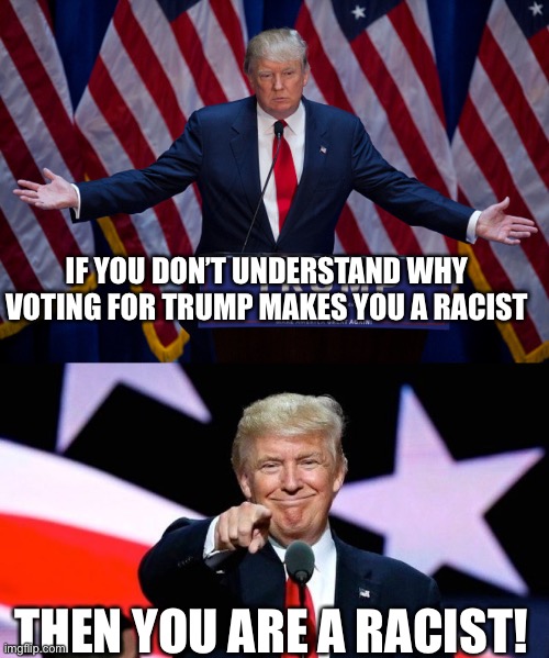 IF YOU DON’T UNDERSTAND WHY VOTING FOR TRUMP MAKES YOU A RACIST; THEN YOU ARE A RACIST! | image tagged in donald trump,donald trump pointing at you | made w/ Imgflip meme maker