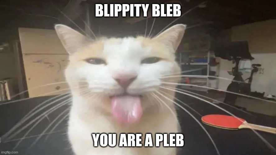 Bleh Cat | BLIPPITY BLEB; YOU ARE A PLEB | image tagged in bleh cat | made w/ Imgflip meme maker