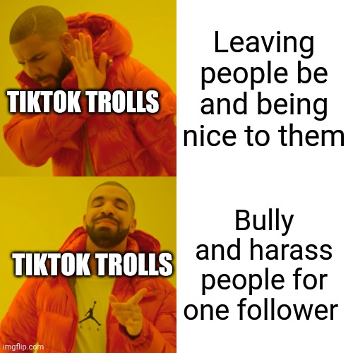 Drake Hotline Bling | Leaving people be and being nice to them; TIKTOK TROLLS; Bully and harass people for one follower; TIKTOK TROLLS | image tagged in memes,drake hotline bling | made w/ Imgflip meme maker