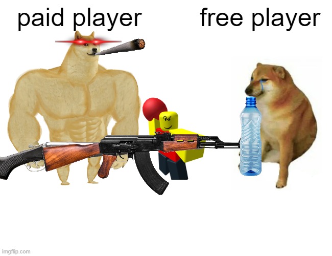 free player VS paid player | paid player; free player | image tagged in memes,buff doge vs cheems | made w/ Imgflip meme maker
