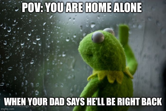 kermit window | POV: YOU ARE HOME ALONE; WHEN YOUR DAD SAYS HE’LL BE RIGHT BACK | image tagged in kermit window | made w/ Imgflip meme maker