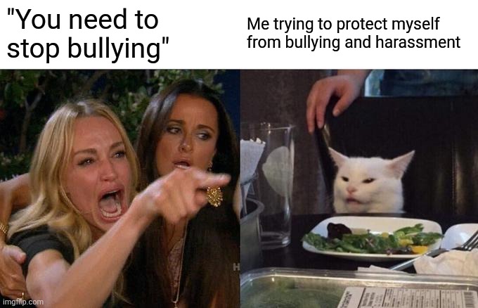 It's funny how bullies make themselves look like the victim | "You need to stop bullying"; Me trying to protect myself from bullying and harassment | image tagged in memes,woman yelling at cat | made w/ Imgflip meme maker