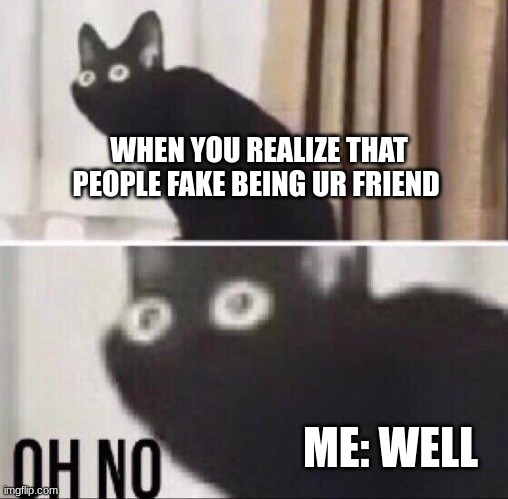 Oh no cat | WHEN YOU REALIZE THAT PEOPLE FAKE BEING UR FRIEND; ME: WELL | image tagged in oh no cat | made w/ Imgflip meme maker